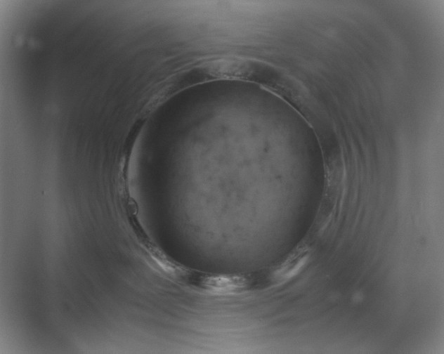 X0000070190239200606091540