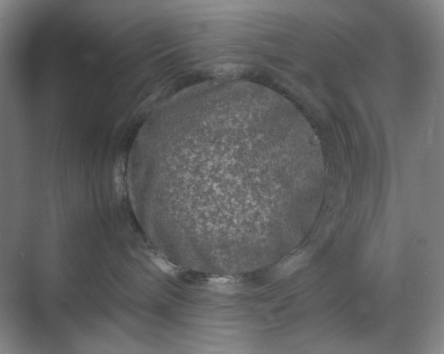 X0000070190240200606091540