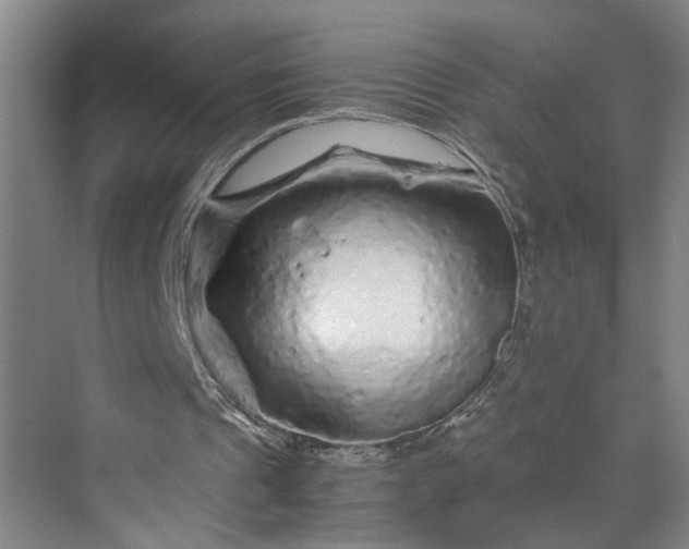 X0000070190241200606091540