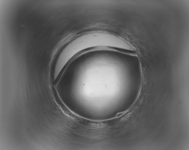 X0000070190245200606091540