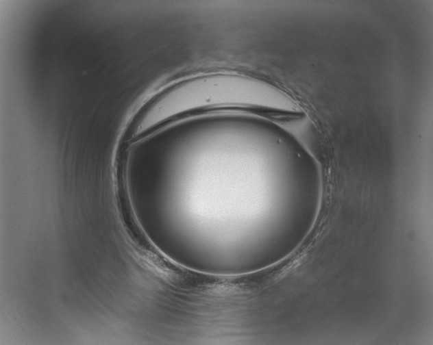 X0000070190246200606091540