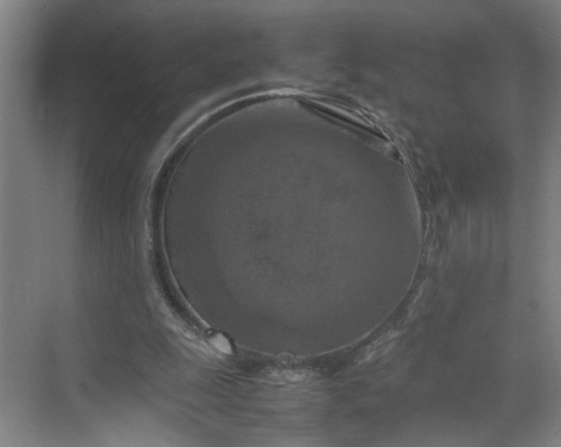 X0000070190247200606091540