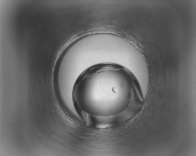 X0000070190248200606091540