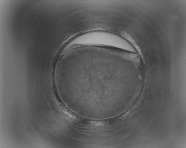 X0000070190249200606091540