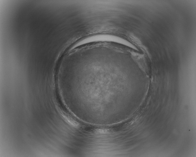 X0000070190250200606091540