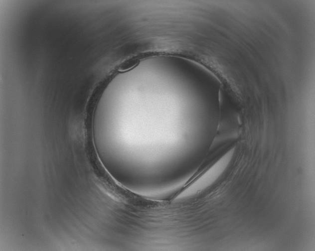 X0000070190252200606091540