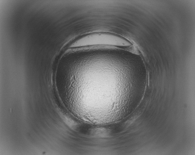 X0000070190253200606091540