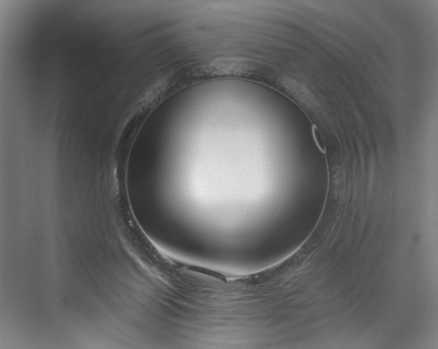 X0000070190254200606091540