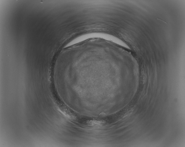 X0000070190255200606091540