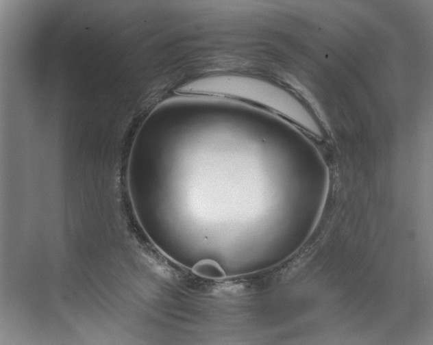 X0000070190257200606091540