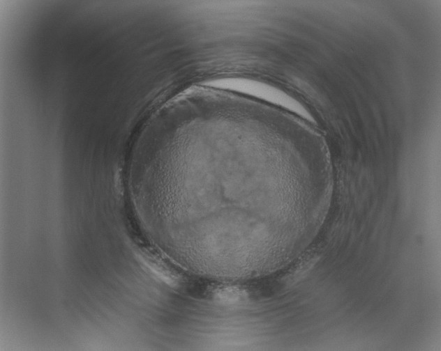 X0000070190258200606091540