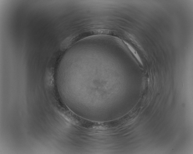 X0000070190259200606091540