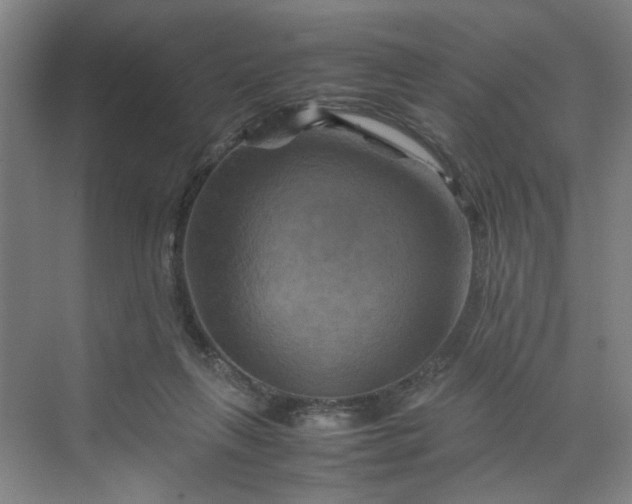 X0000070190263200606091540