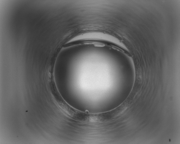 X0000070190264200606091540