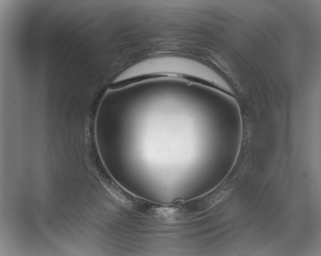 X0000070190265200606091540