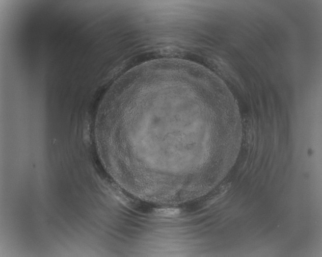 X0000070190266200606091540