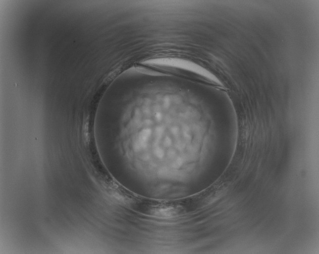 X0000070190267200606091540