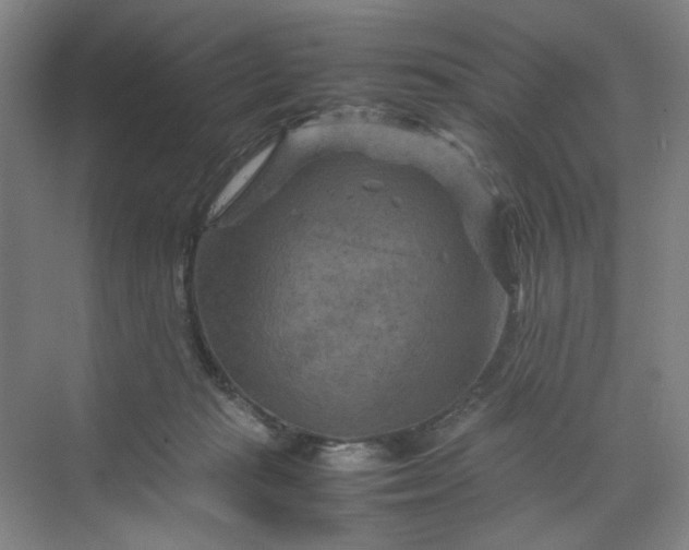 X0000070190269200606091540