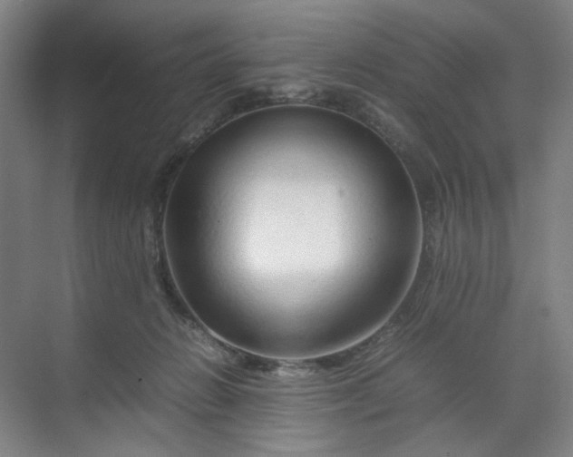 X0000070190270200606091540