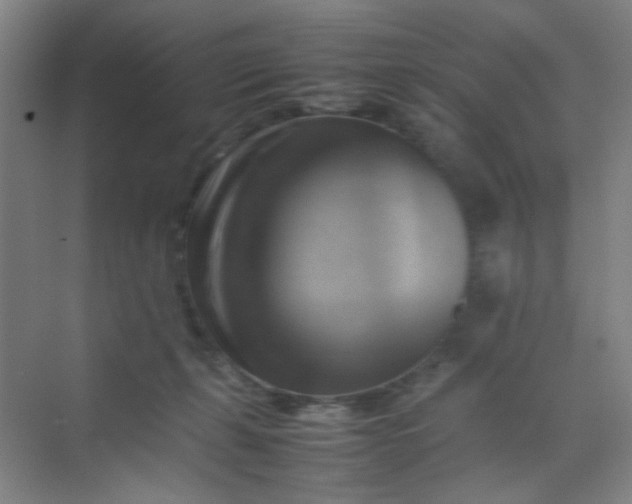 X0000070190271200606091540