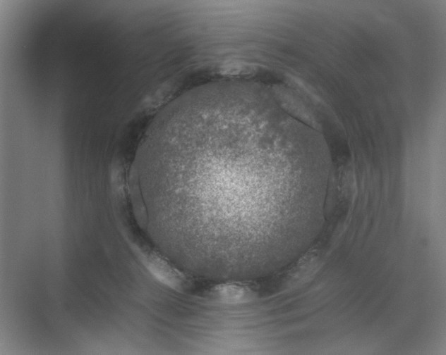 X0000070190272200606091540