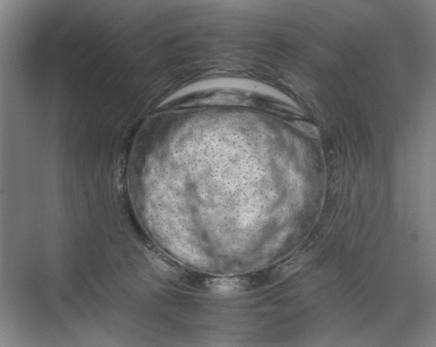 X0000070190273200606091540