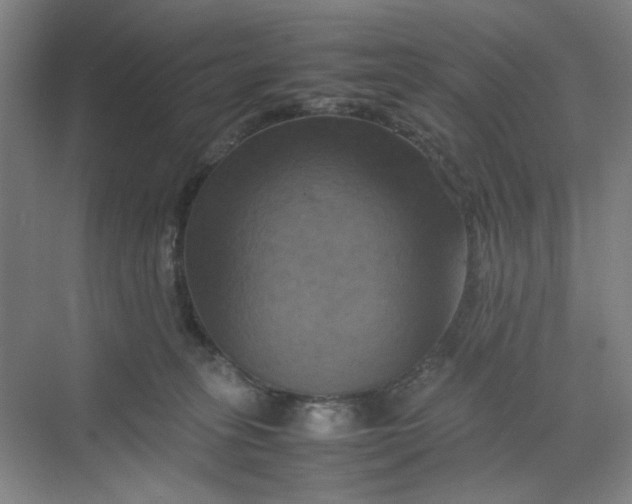 X0000070190275200606091540