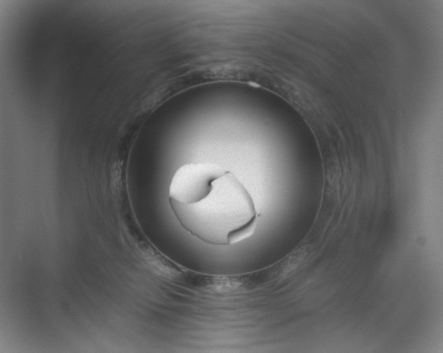 X0000070190278200606091540