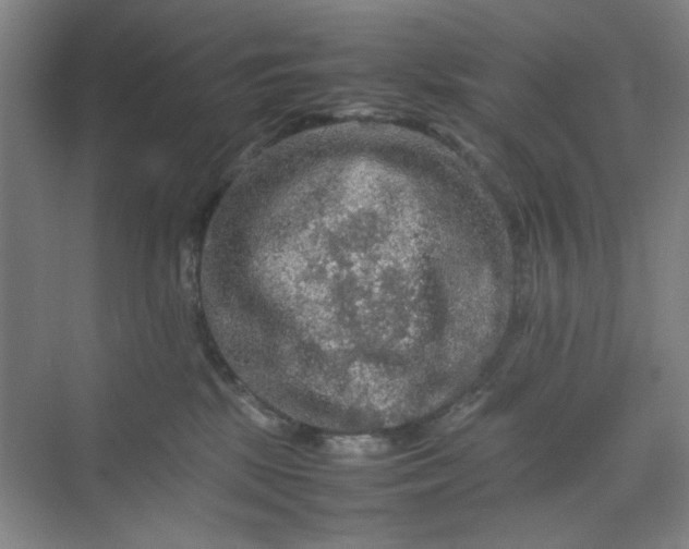 X0000070190281200606091540