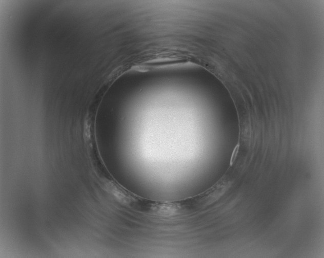 X0000070190282200606091540