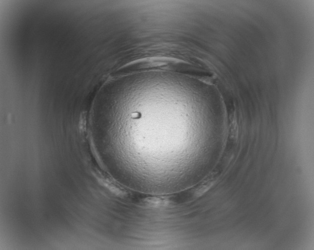 X0000070190284200606091540