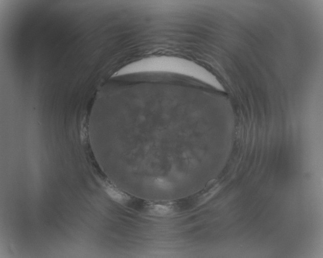 X0000070190285200606091540