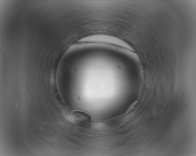 X0000070190287200606091540