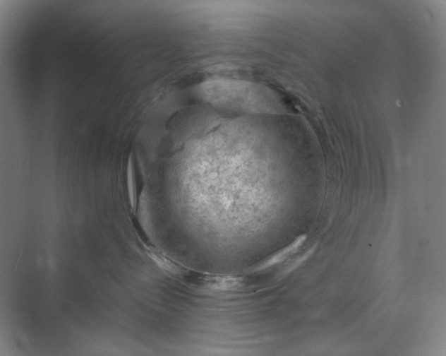 X0000070190288200606091540