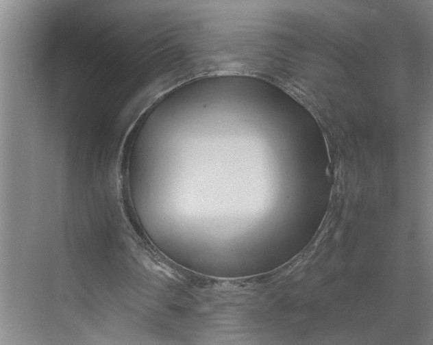 X0000070190290200606091540