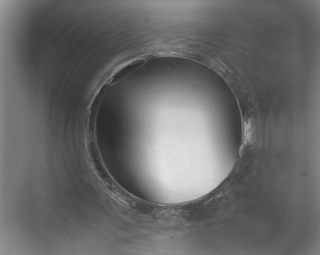 X0000070190291200606091540