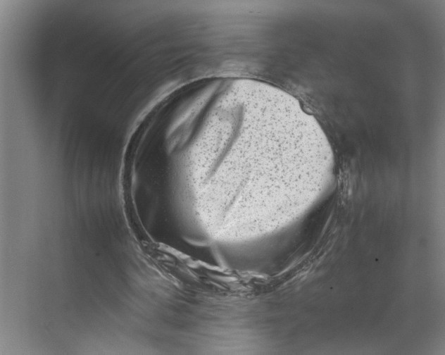 X0000070190292200606091540