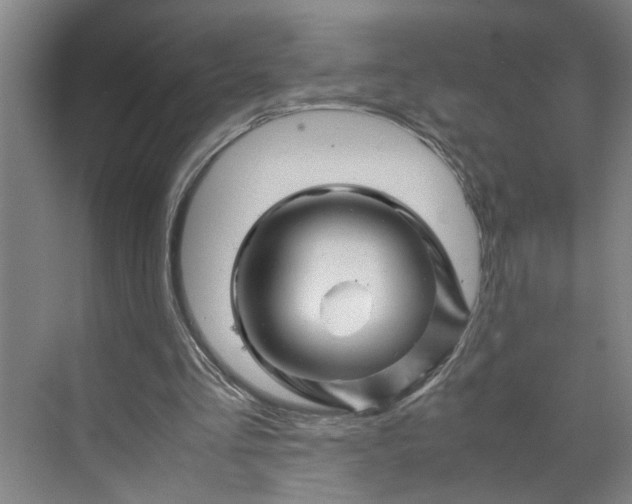 X0000070190293200606091540