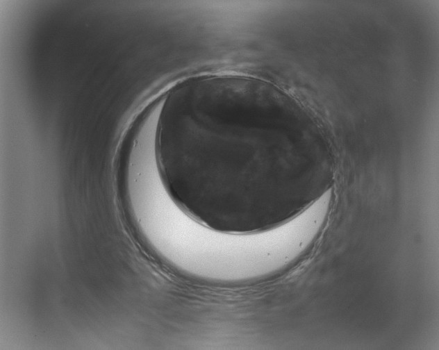 X0000070190295200606091540