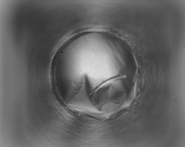 X0000070190296200606091539