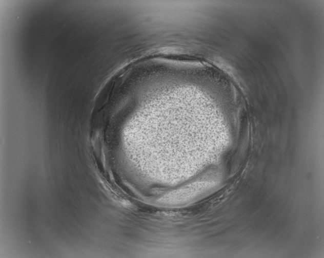 X0000070190297200606091539