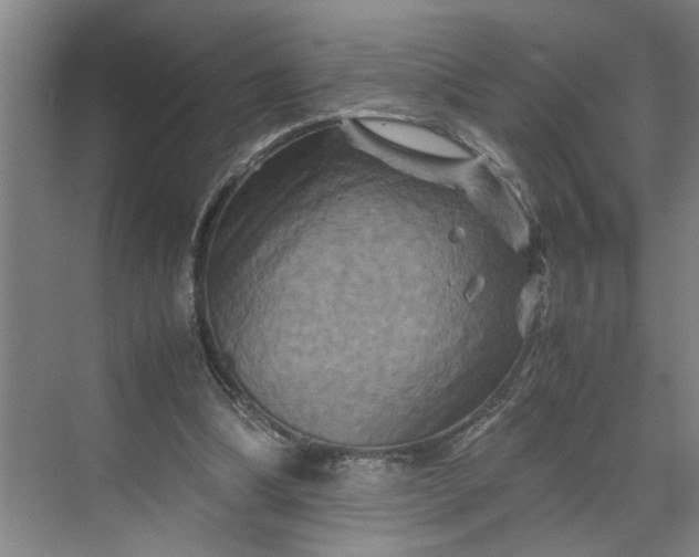 X0000070190298200606091539