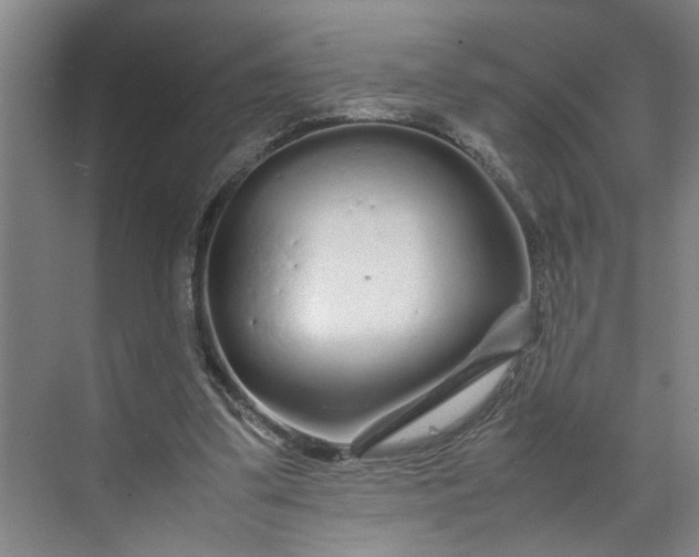 X0000070190299200606091539