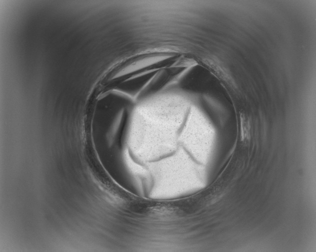 X0000070190300200606091539