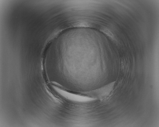 X0000070190302200606091539