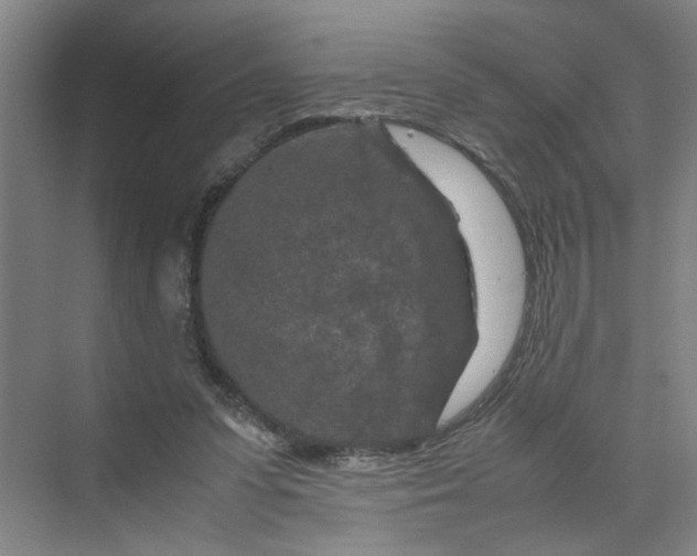 X0000070190303200606091539