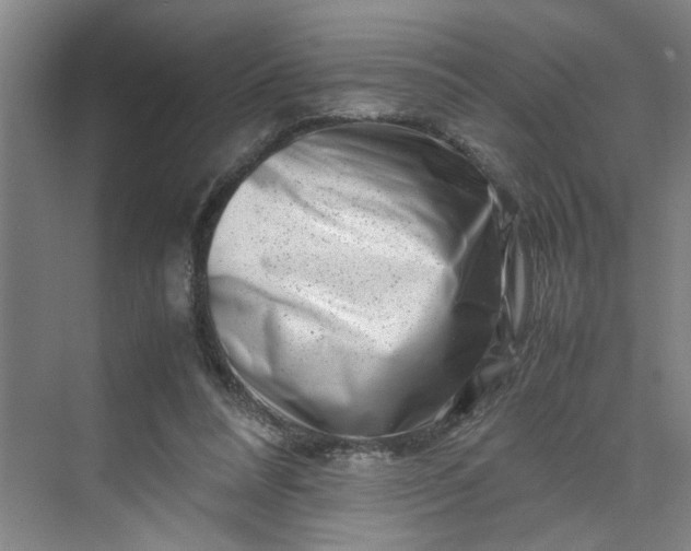 X0000070190304200606091539