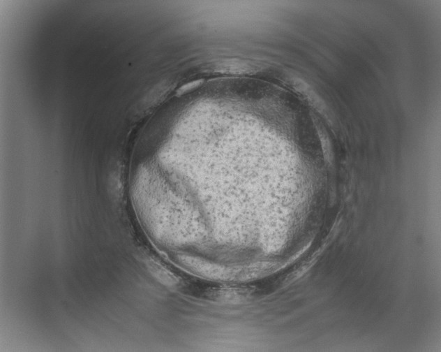 X0000070190305200606091539