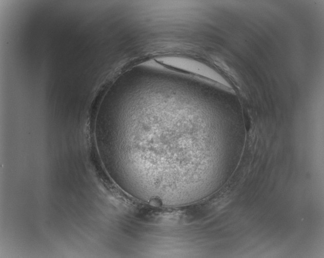 X0000070190306200606091539