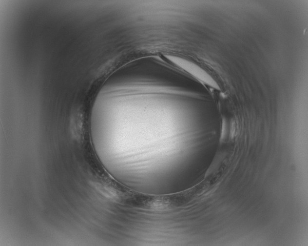 X0000070190308200606091539